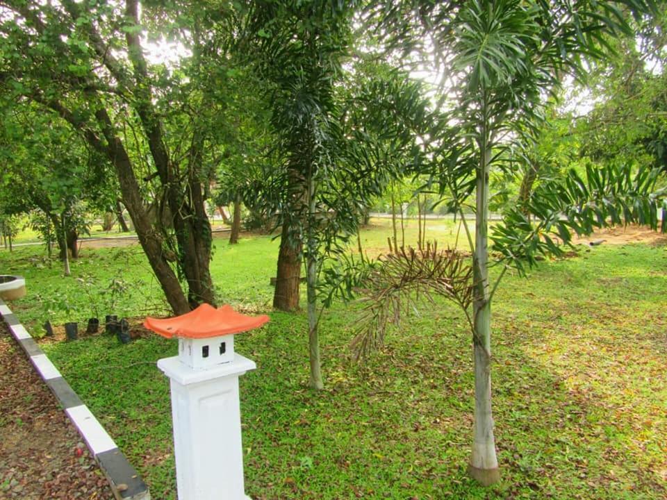 Hotel Tree Garden Wilpaththu Nochchiyagma Anuradhapura Nochchiyagama Exteriér fotografie