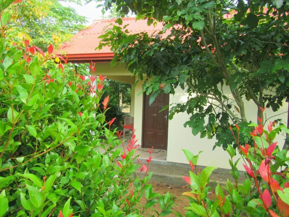 Hotel Tree Garden Wilpaththu Nochchiyagma Anuradhapura Nochchiyagama Exteriér fotografie