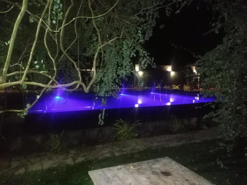 Hotel Tree Garden Wilpaththu Nochchiyagma Anuradhapura Nochchiyagama Exteriér fotografie