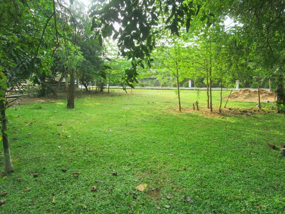 Hotel Tree Garden Wilpaththu Nochchiyagma Anuradhapura Nochchiyagama Exteriér fotografie