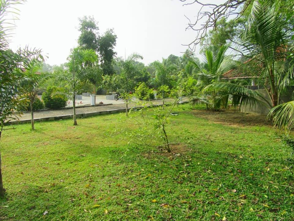 Hotel Tree Garden Wilpaththu Nochchiyagma Anuradhapura Nochchiyagama Exteriér fotografie