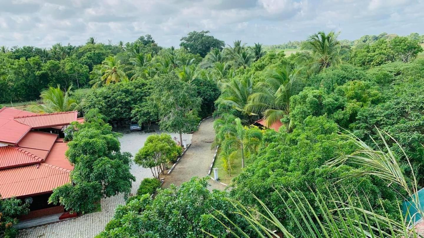 Hotel Tree Garden Wilpaththu Nochchiyagma Anuradhapura Nochchiyagama Exteriér fotografie