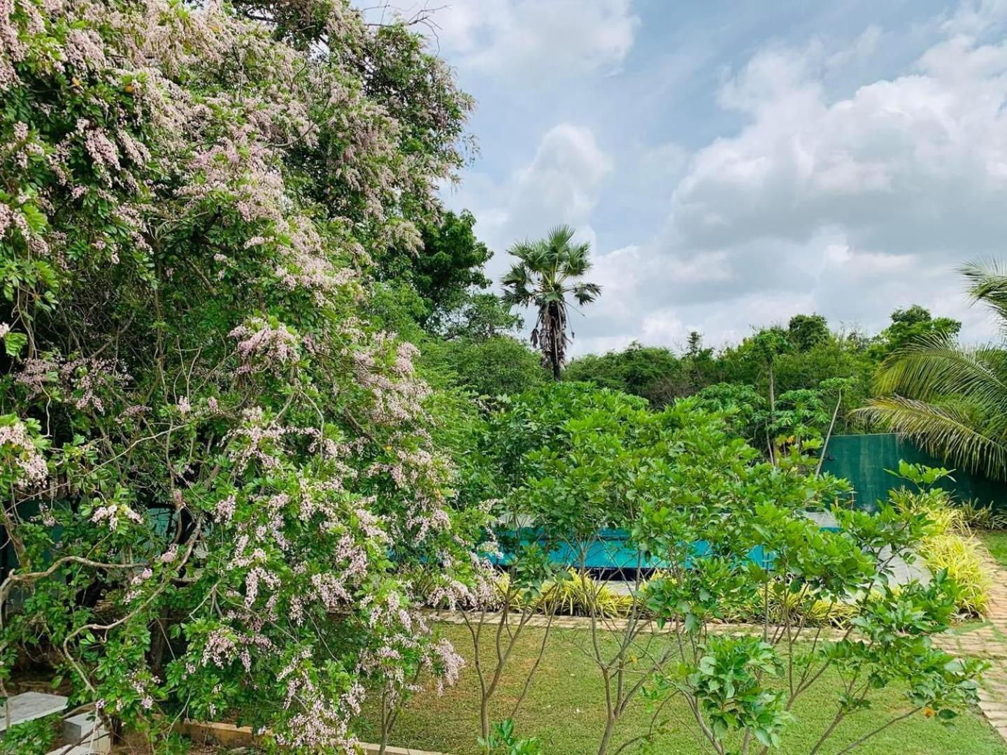 Hotel Tree Garden Wilpaththu Nochchiyagma Anuradhapura Nochchiyagama Exteriér fotografie